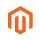 Magento Developer Services